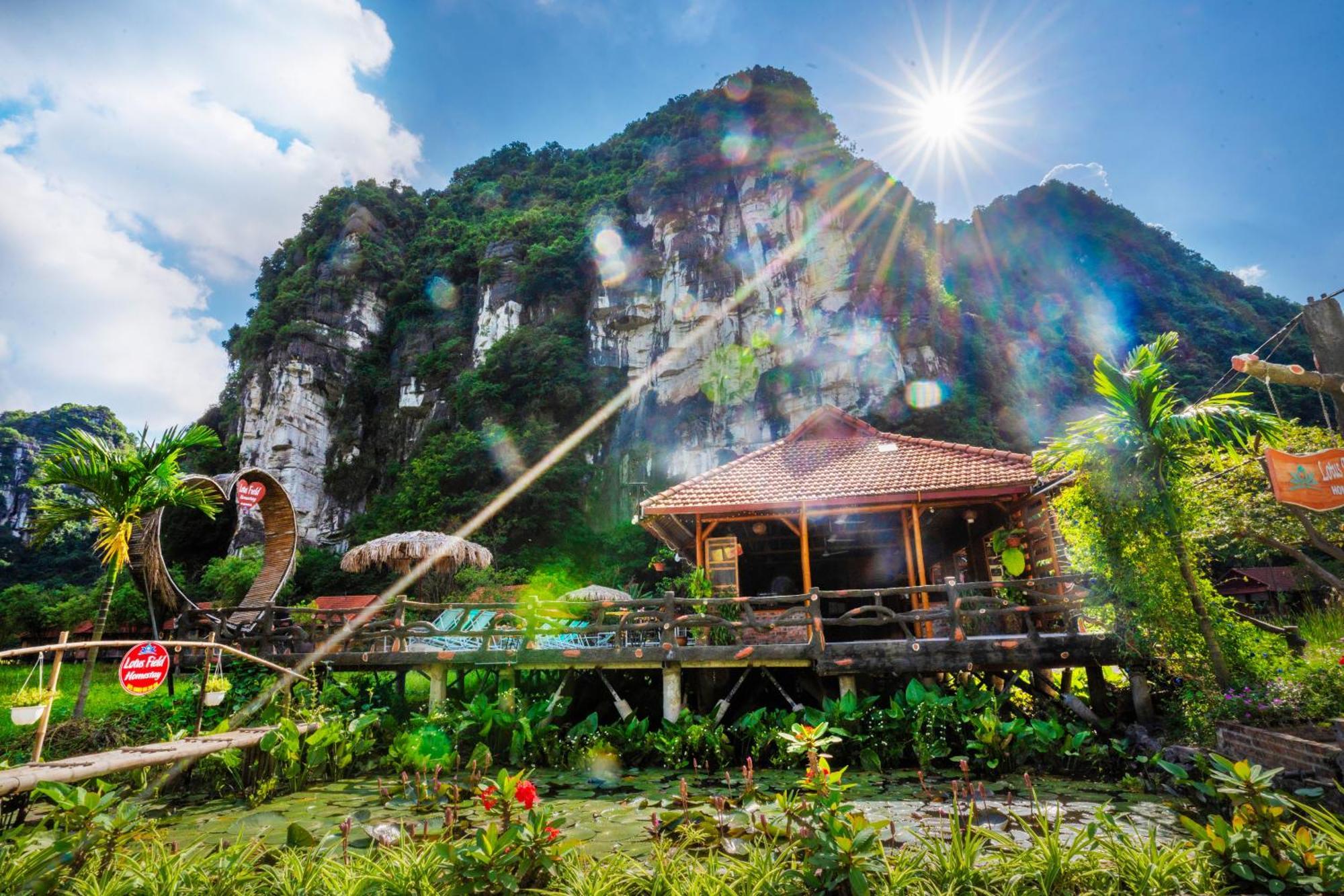 Lotus Field Homestay Ninh Binh Eksteriør bilde