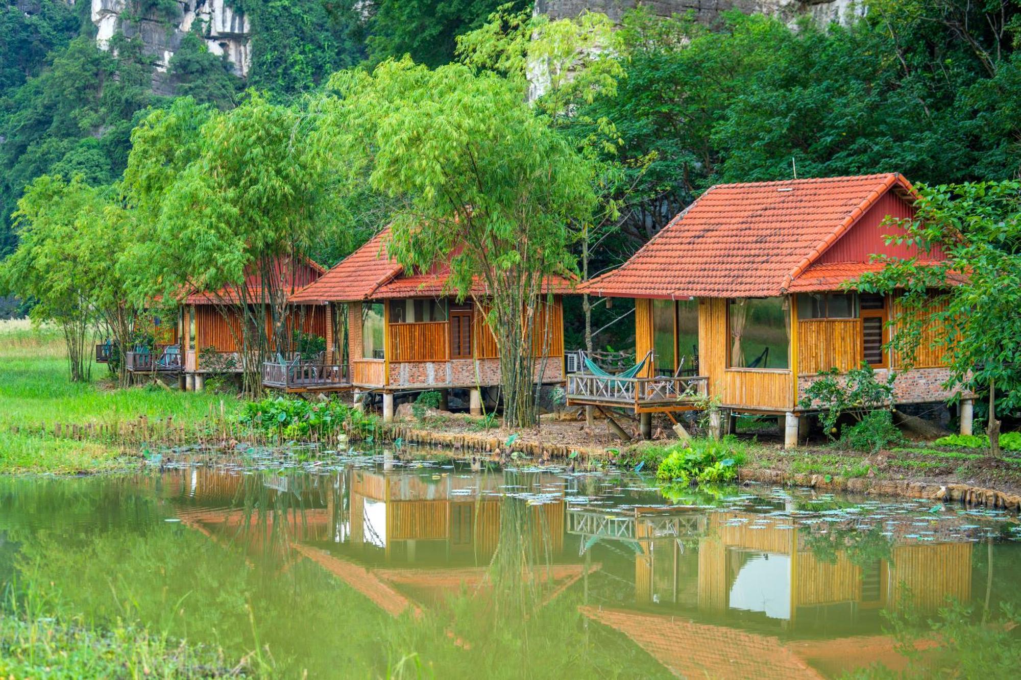 Lotus Field Homestay Ninh Binh Eksteriør bilde