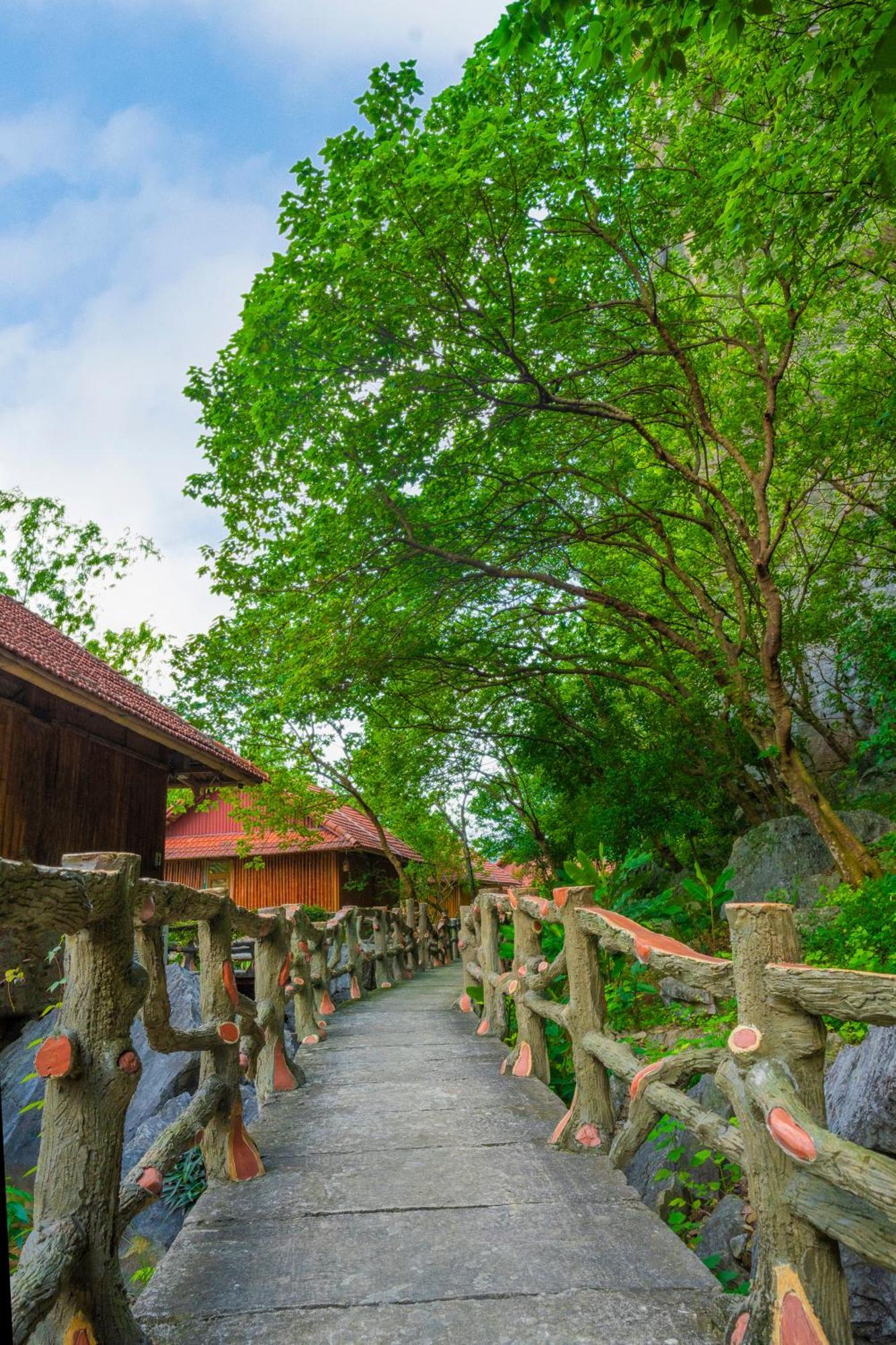 Lotus Field Homestay Ninh Binh Eksteriør bilde