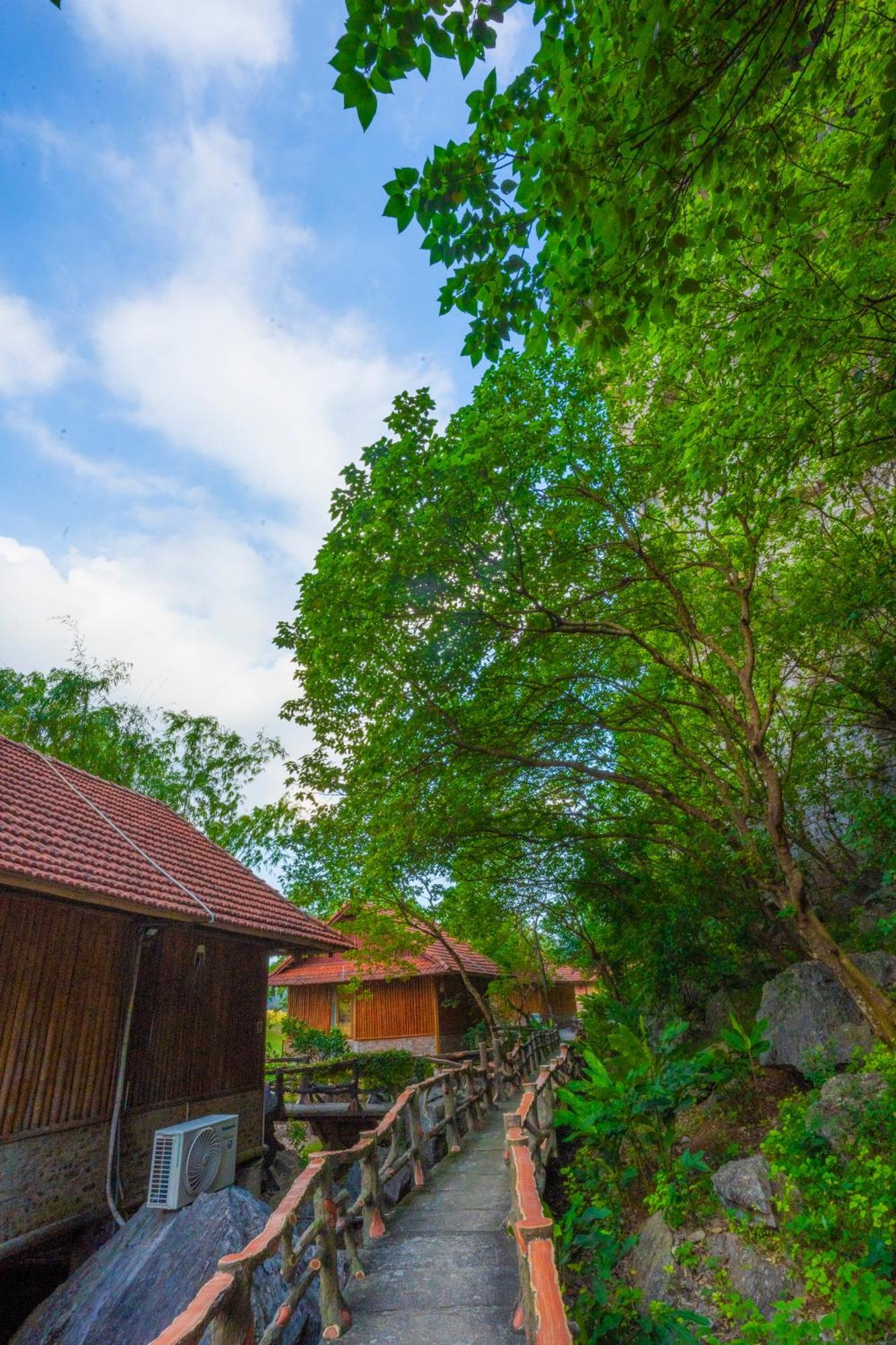 Lotus Field Homestay Ninh Binh Eksteriør bilde
